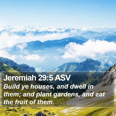 Jeremiah 29:5 ASV Bible Verse Image