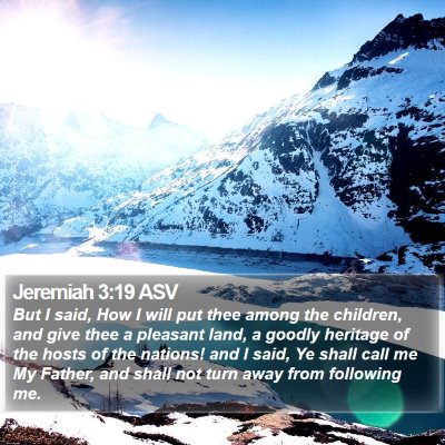 Jeremiah 3:19 ASV Bible Verse Image