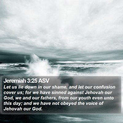 Jeremiah 3:25 ASV Bible Verse Image