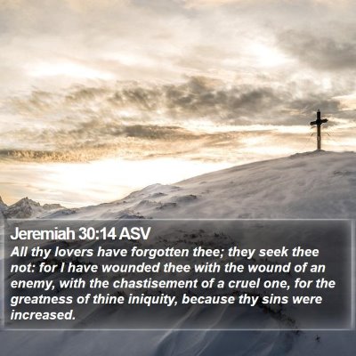 Jeremiah 30:14 ASV Bible Verse Image