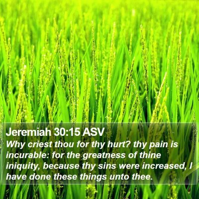 Jeremiah 30:15 ASV Bible Verse Image