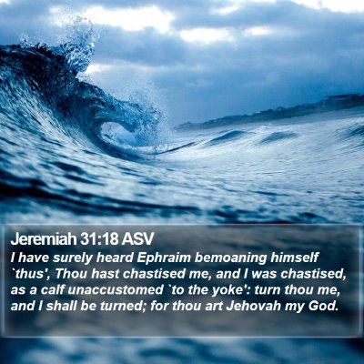 Jeremiah 31:18 ASV Bible Verse Image