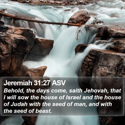 Jeremiah 31:27 ASV Bible Verse Image