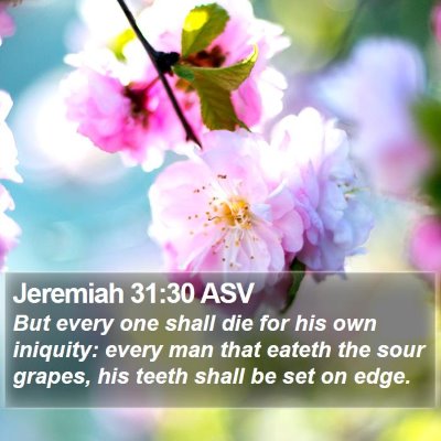 Jeremiah 31:30 ASV Bible Verse Image