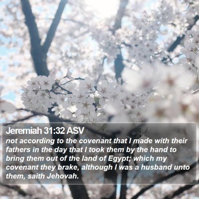 Jeremiah 31:32 ASV Bible Verse Image