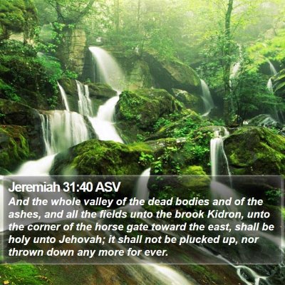 Jeremiah 31:40 ASV Bible Verse Image