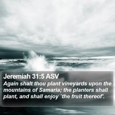 Jeremiah 31:5 ASV Bible Verse Image