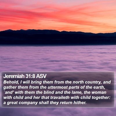 Jeremiah 31:8 ASV Bible Verse Image