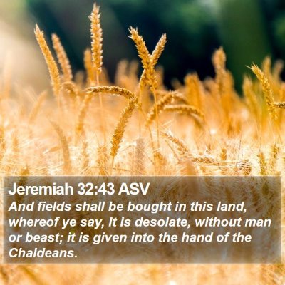 Jeremiah 32:43 ASV Bible Verse Image