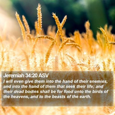 Jeremiah 34:20 ASV Bible Verse Image