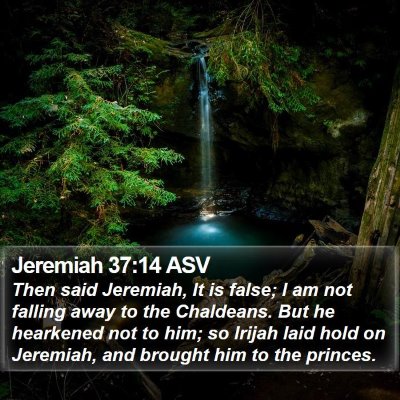Jeremiah 37:14 ASV Bible Verse Image