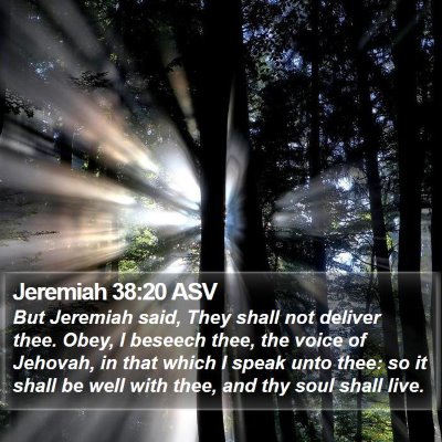 Jeremiah 38:20 ASV Bible Verse Image