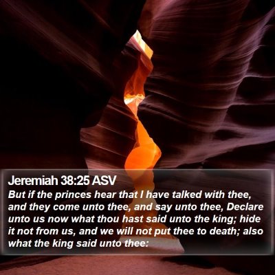 Jeremiah 38:25 ASV Bible Verse Image
