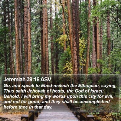 Jeremiah 39:16 ASV Bible Verse Image