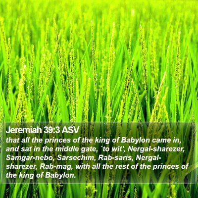 Jeremiah 39:3 ASV Bible Verse Image