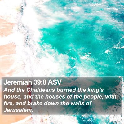 Jeremiah 39:8 ASV Bible Verse Image