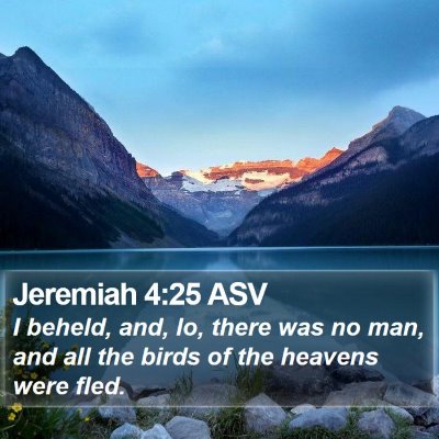 Jeremiah 4:25 ASV Bible Verse Image