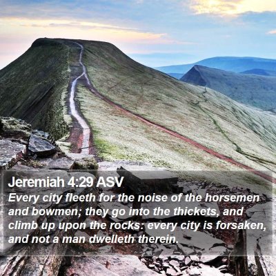 Jeremiah 4:29 ASV Bible Verse Image