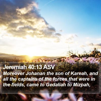 Jeremiah 40:13 ASV Bible Verse Image