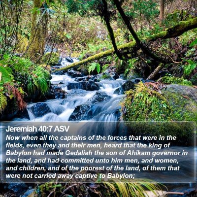 Jeremiah 40:7 ASV Bible Verse Image