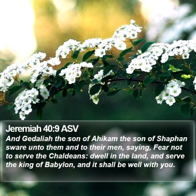 Jeremiah 40:9 ASV Bible Verse Image