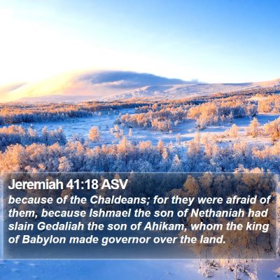 Jeremiah 41:18 ASV Bible Verse Image