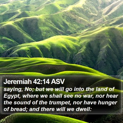 Jeremiah 42:14 ASV Bible Verse Image