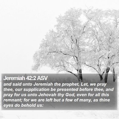 Jeremiah 42:2 ASV Bible Verse Image