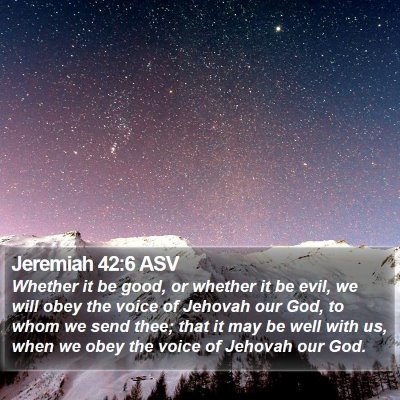 Jeremiah 42:6 ASV Bible Verse Image