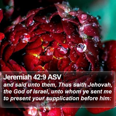 Jeremiah 42:9 ASV Bible Verse Image