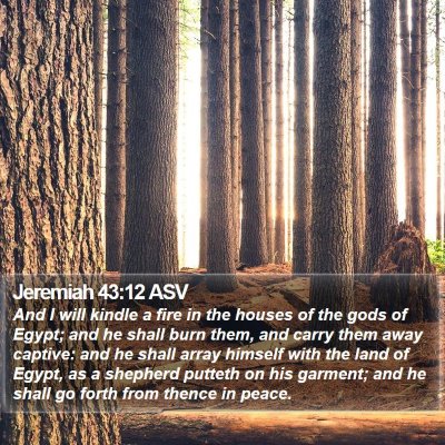 Jeremiah 43:12 ASV Bible Verse Image