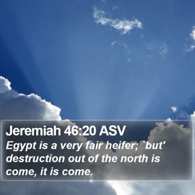 Jeremiah 46:20 ASV Bible Verse Image