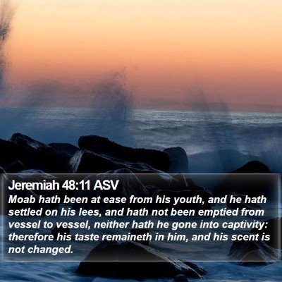 Jeremiah 48:11 ASV Bible Verse Image