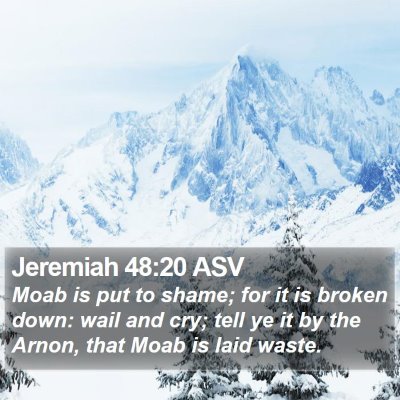 Jeremiah 48:20 ASV Bible Verse Image