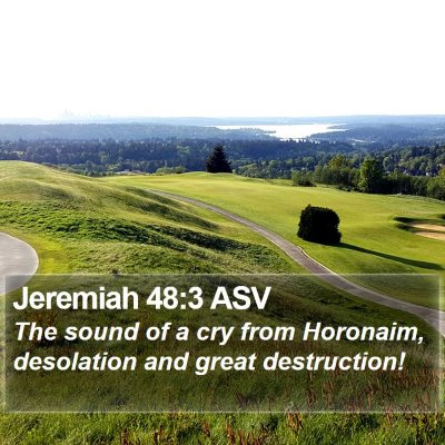 Jeremiah 48:3 ASV Bible Verse Image