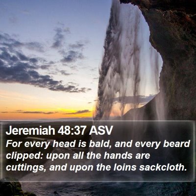 Jeremiah 48:37 ASV Bible Verse Image