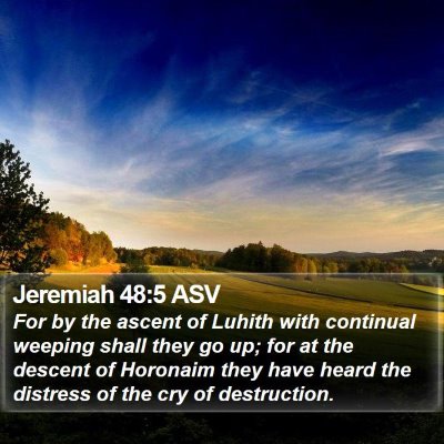 Jeremiah 48:5 ASV Bible Verse Image