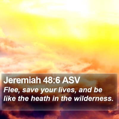 Jeremiah 48:6 ASV Bible Verse Image