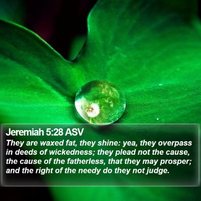 Jeremiah 5:28 ASV Bible Verse Image