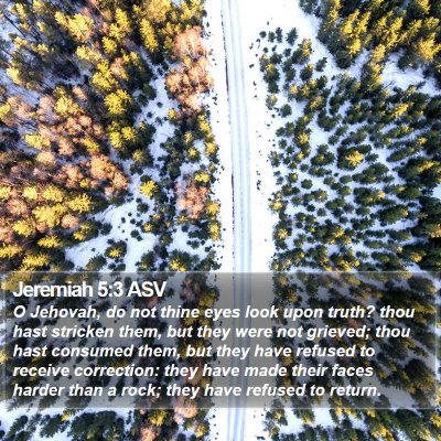Jeremiah 5:3 ASV Bible Verse Image