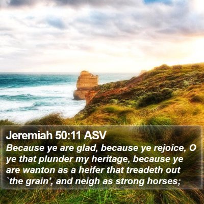 Jeremiah 50:11 ASV Bible Verse Image