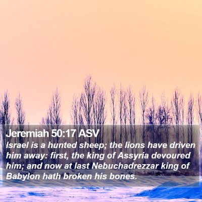 Jeremiah 50:17 ASV Bible Verse Image