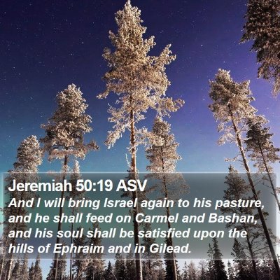 Jeremiah 50:19 ASV Bible Verse Image