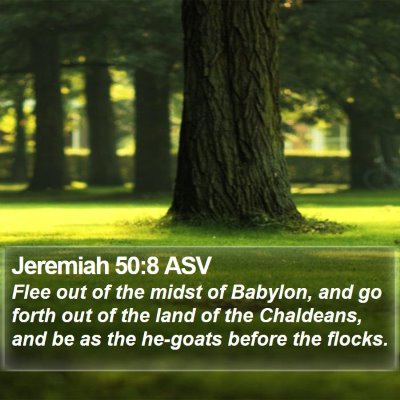 Jeremiah 50:8 ASV Bible Verse Image