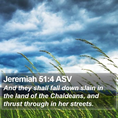 Jeremiah 51:4 ASV Bible Verse Image