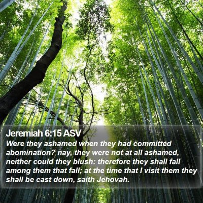 Jeremiah 6:15 ASV Bible Verse Image
