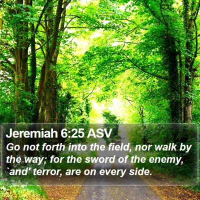 Jeremiah 6:25 ASV Bible Verse Image