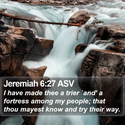 Jeremiah 6:27 ASV Bible Verse Image