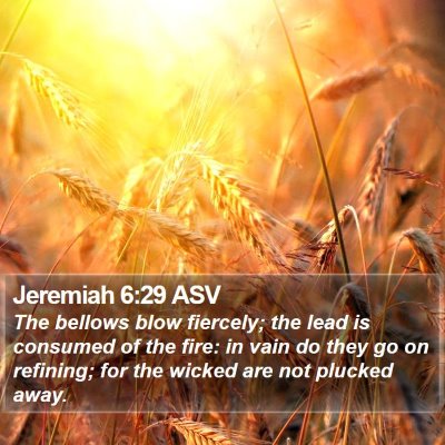 Jeremiah 6:29 ASV Bible Verse Image