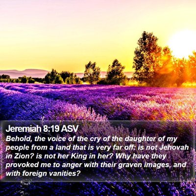 Jeremiah 8:19 ASV Bible Verse Image